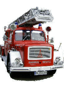 magirus magirus